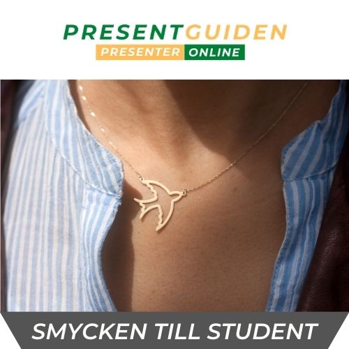 Smycken studentpresent - Armband, halsband, slipsnål, manschettknappar 2021