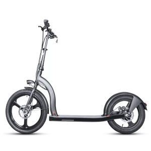 Elscooter - Presenter