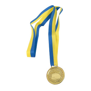 Studentmedalj - Billigaste studentpresenten - Medalj till studenten 