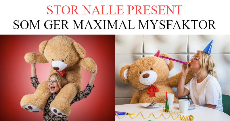Stor nalle PRESENT - Stora gosedjur