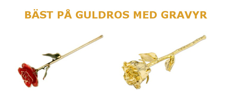 Guldros med gravyr - Äkta ros doppad i guld - Present till den som är guld värd