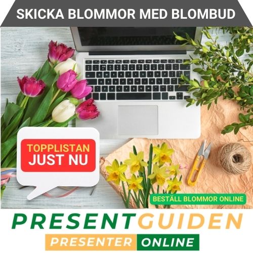 Blommor present - Tips på blomma & blombud på nätet
