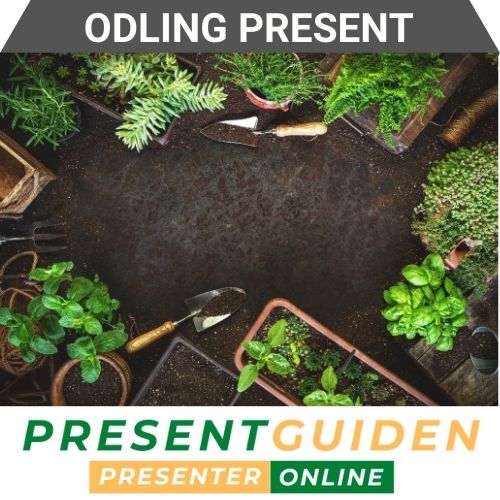 Odling present - Presenttips
