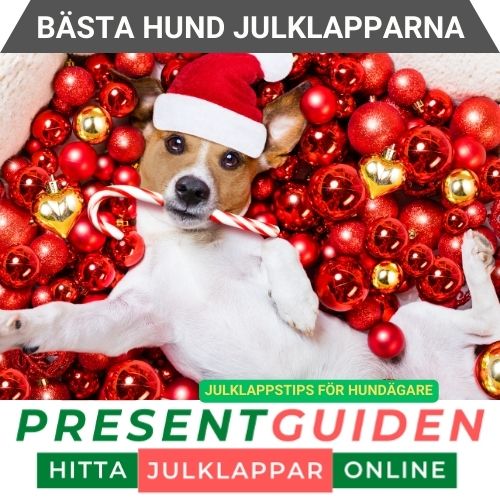Hund julklapp - Julklappstips till hundägare