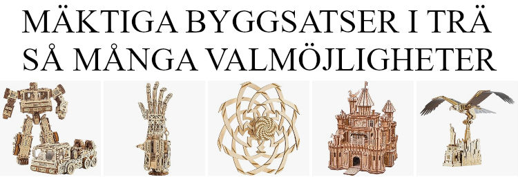 TRÄ BYGGSATS PRESENTER