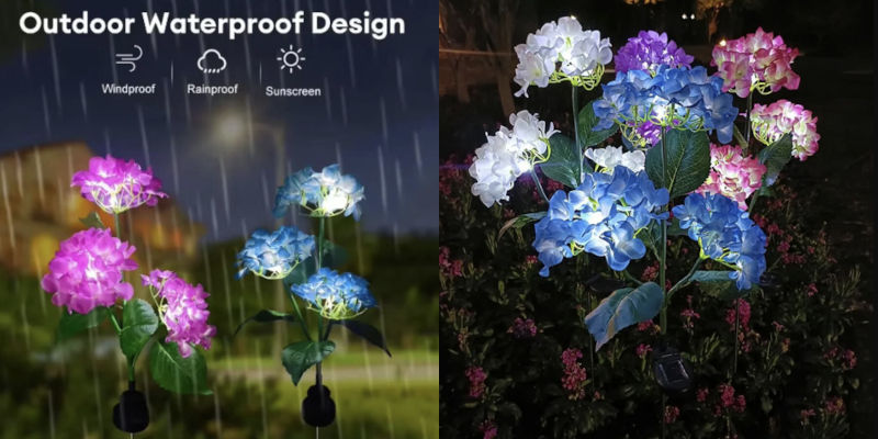 Tips på vacker trädgård present - Hortensia blommor som lyser upp med hjälp av solceller
