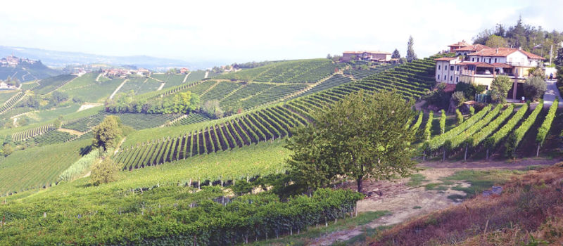 Online utbildning vin